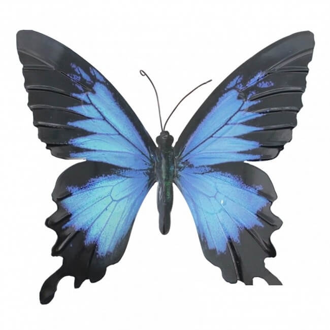 Wanddecoratie Vlinder Blauw met Zwart Top Merken Winkel